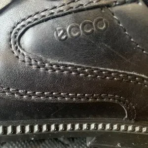 Ecco 2025 junior dublin